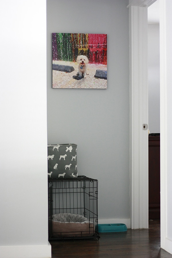 DIY Pet Portrait - make your own custom art with your favorite furry friend 