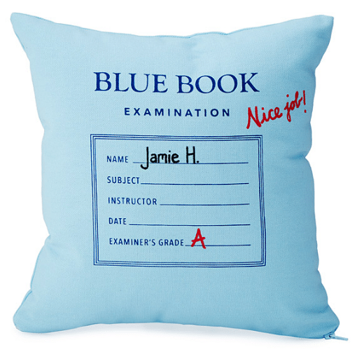 personalized-blue-book-pillow // custom pillow ideas