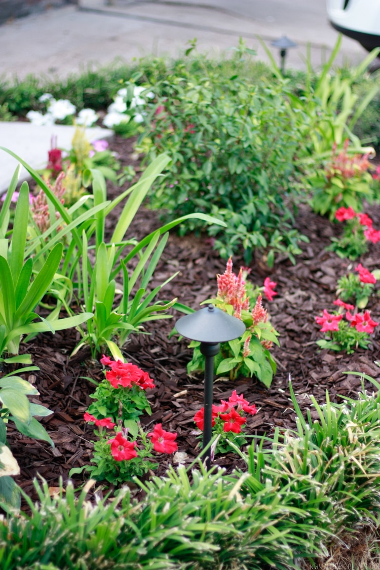 flower bed with curb appeal landscaping: simple curb appeal ideas