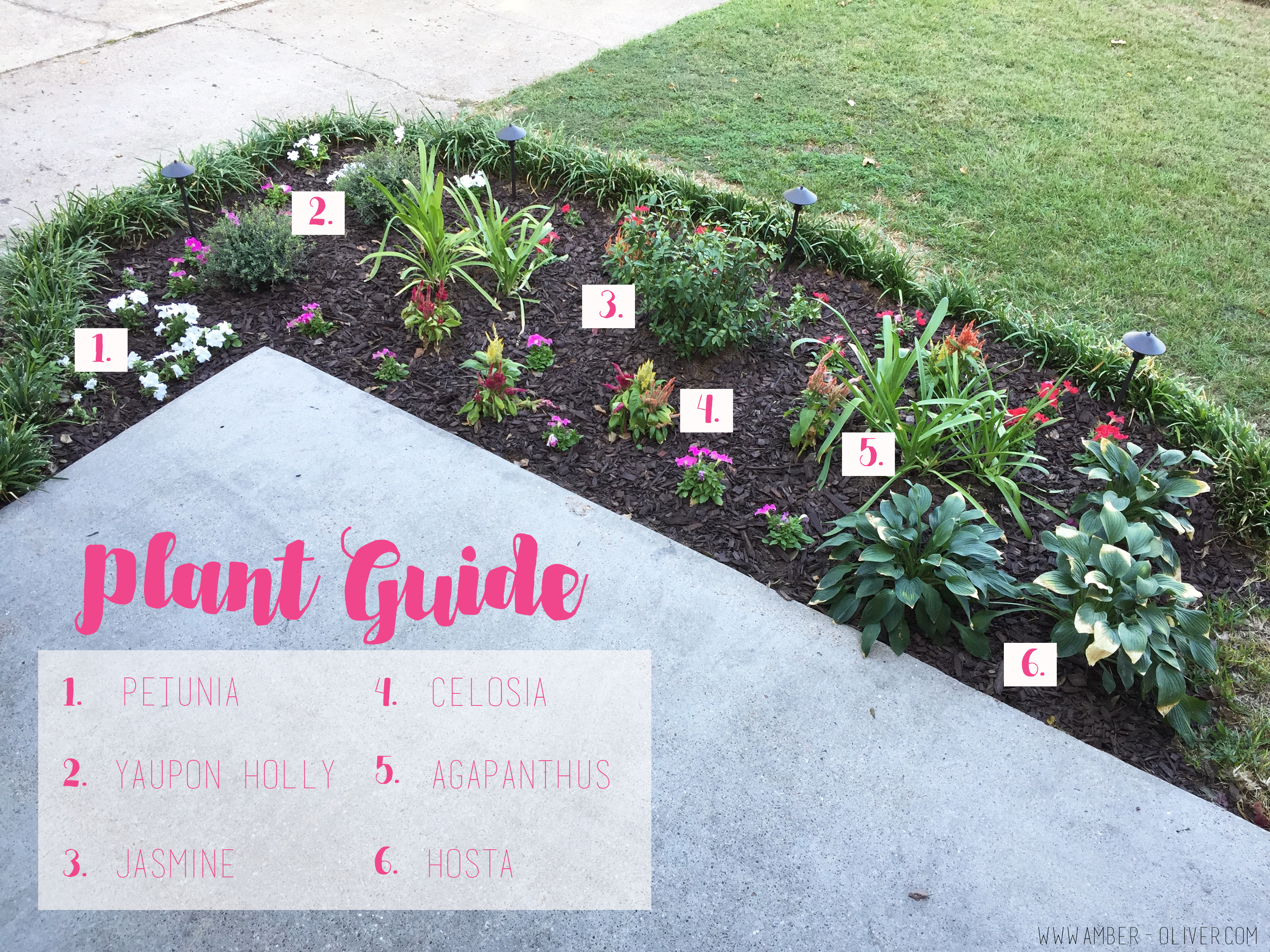 plant-guide-flowerbed-makeover curb appeal ideas