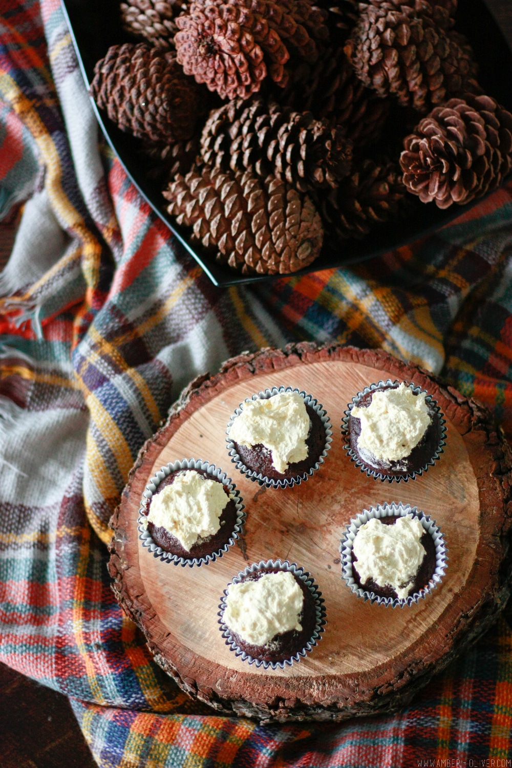 The BEST chocolate cupcakes use only 2 ingredients!