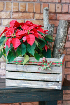 DIY Christmas crate - how to create weather and distressed wood