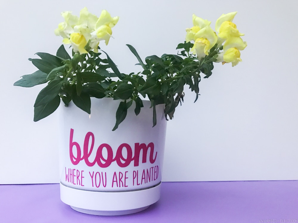 DIY Flowerpot - Planting Inspiration for International Women's Day