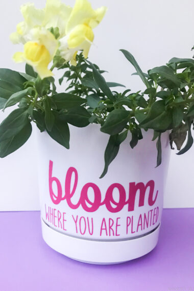 DIY Flowerpot - Planting Inspiration for International Women's Day