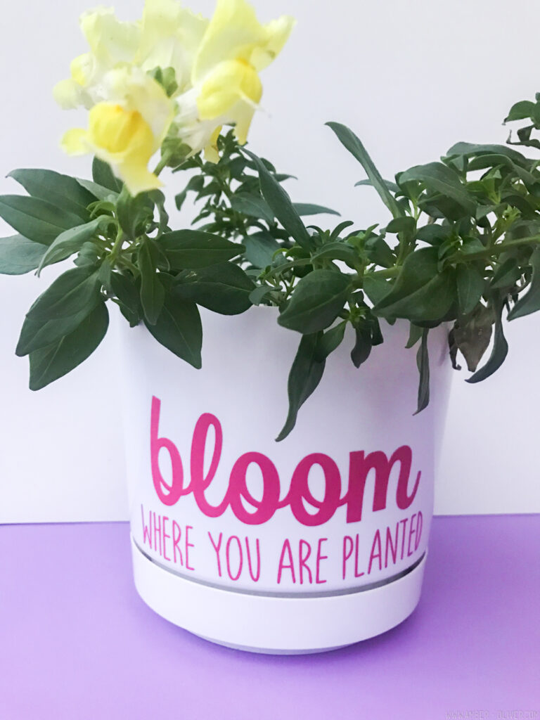DIY Flowerpot - Planting Inspiration for International Women's Day