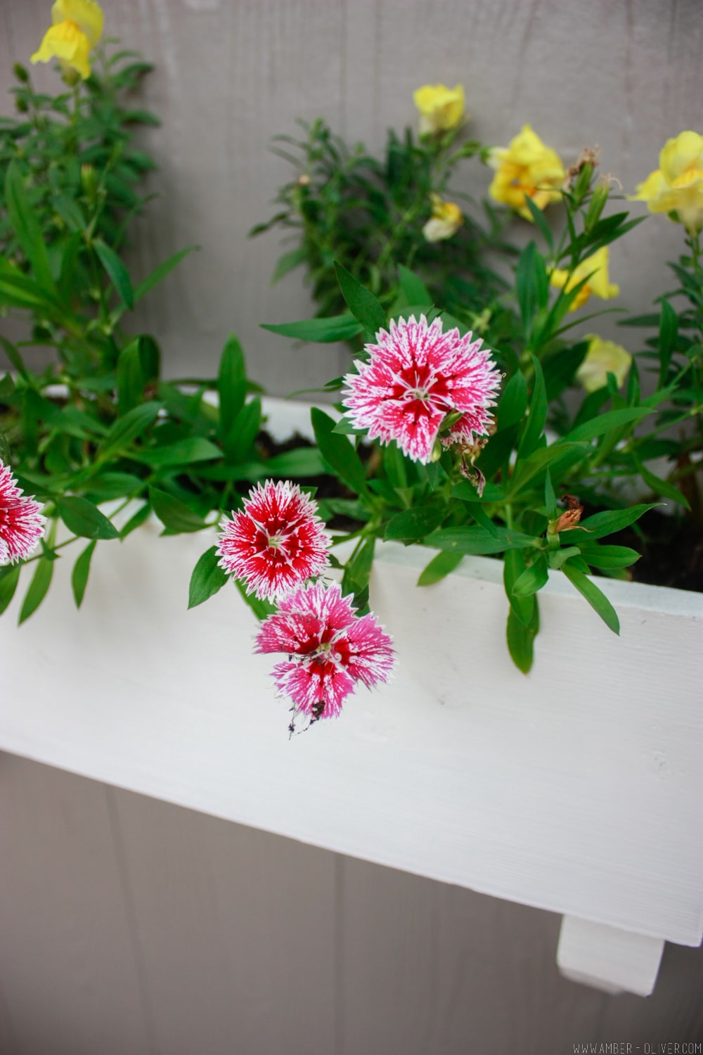 DIY Flower Box - How to build a window box