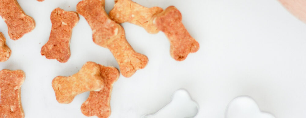 Make your own DIY dog treats! Recipe for peanut butter pumpkin dog treats.