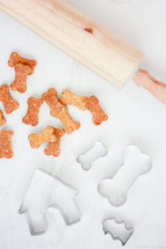Make your own DIY dog treats! Recipe for peanut butter pumpkin dog treats.