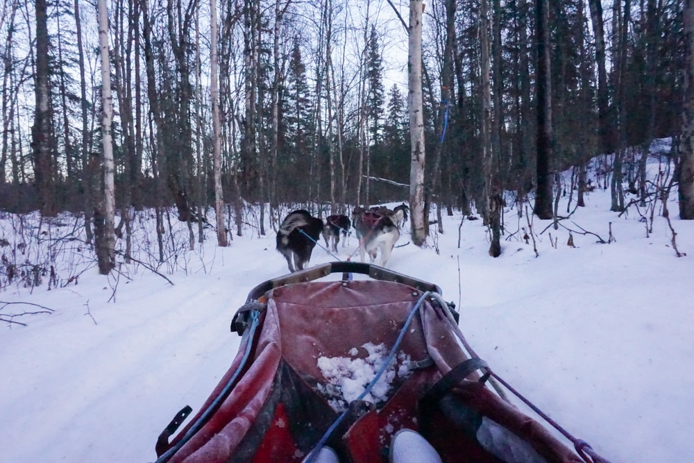 A recap of our Alaska winter vacation. Catch a glimpse of sights around Anchorage and Talkeetna, Alaska. I've included photos and video from our sled dog ride, views of Denali, and more!