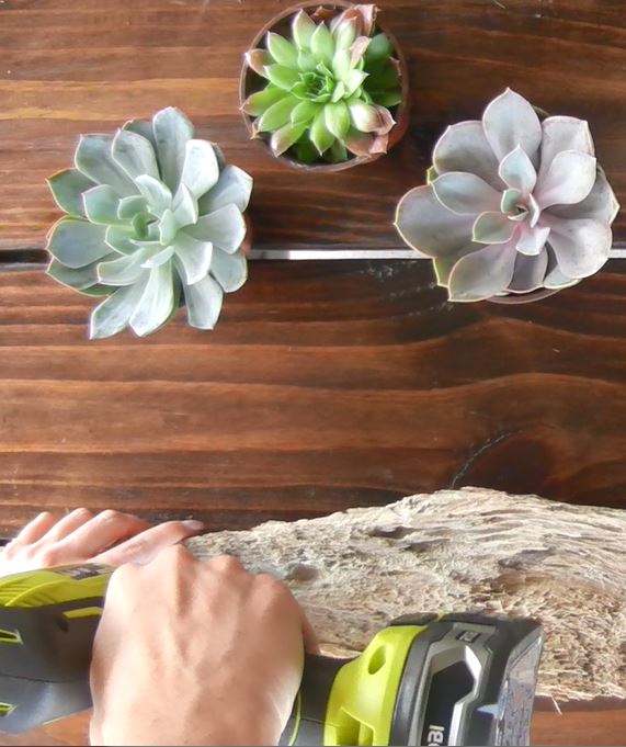 Drill into a DIY driftwood air plant holder 