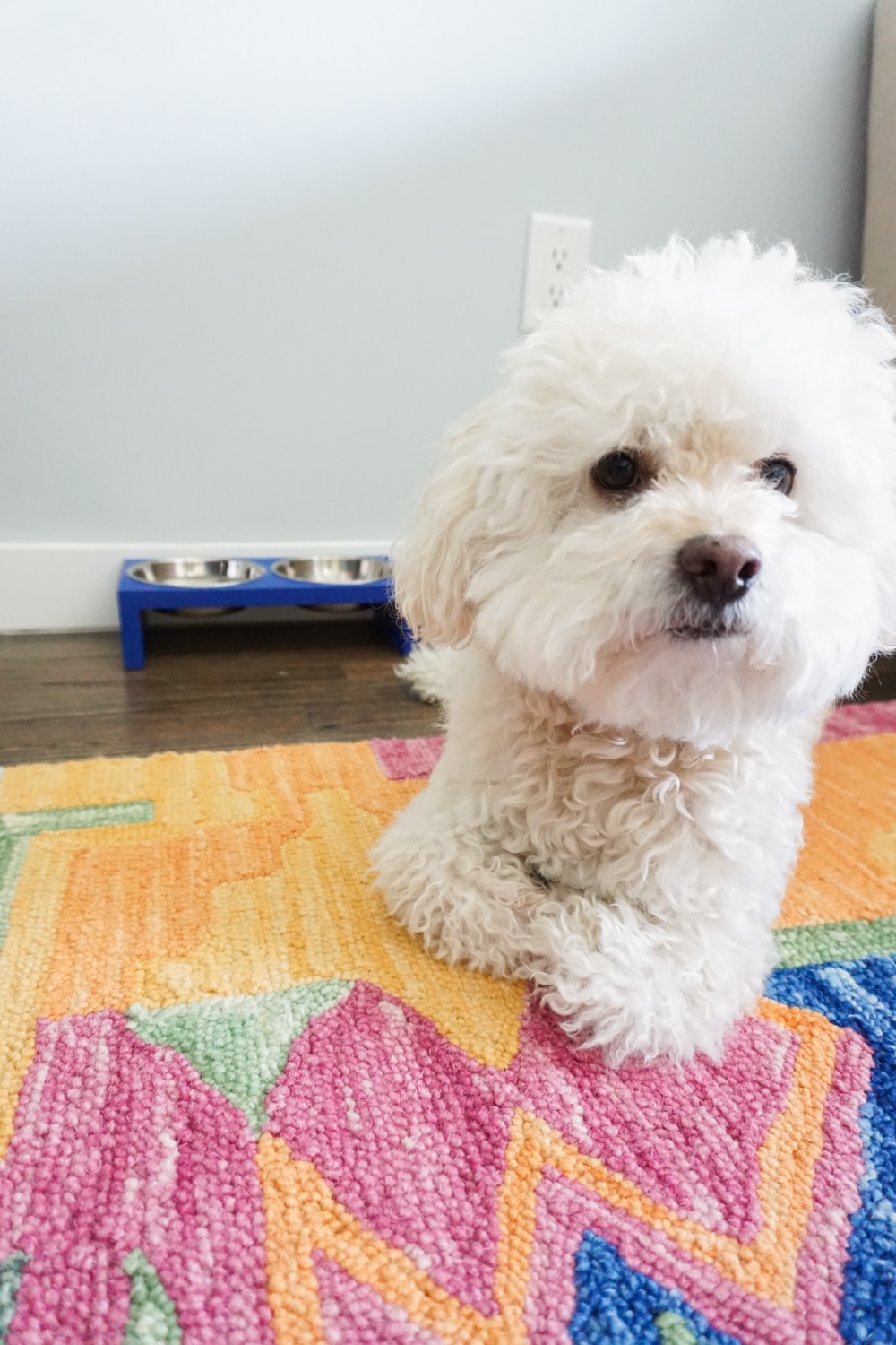 Tails of Barkley and a Modern DIY Dog Bowl Stand by Amber Oliver 