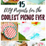 DIY picnic ideas