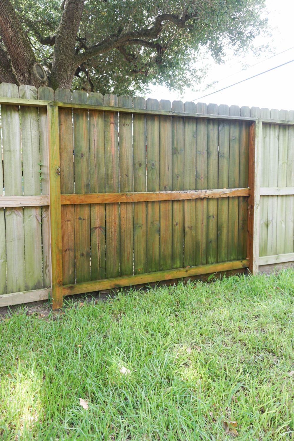 How to clean wood fence - in process