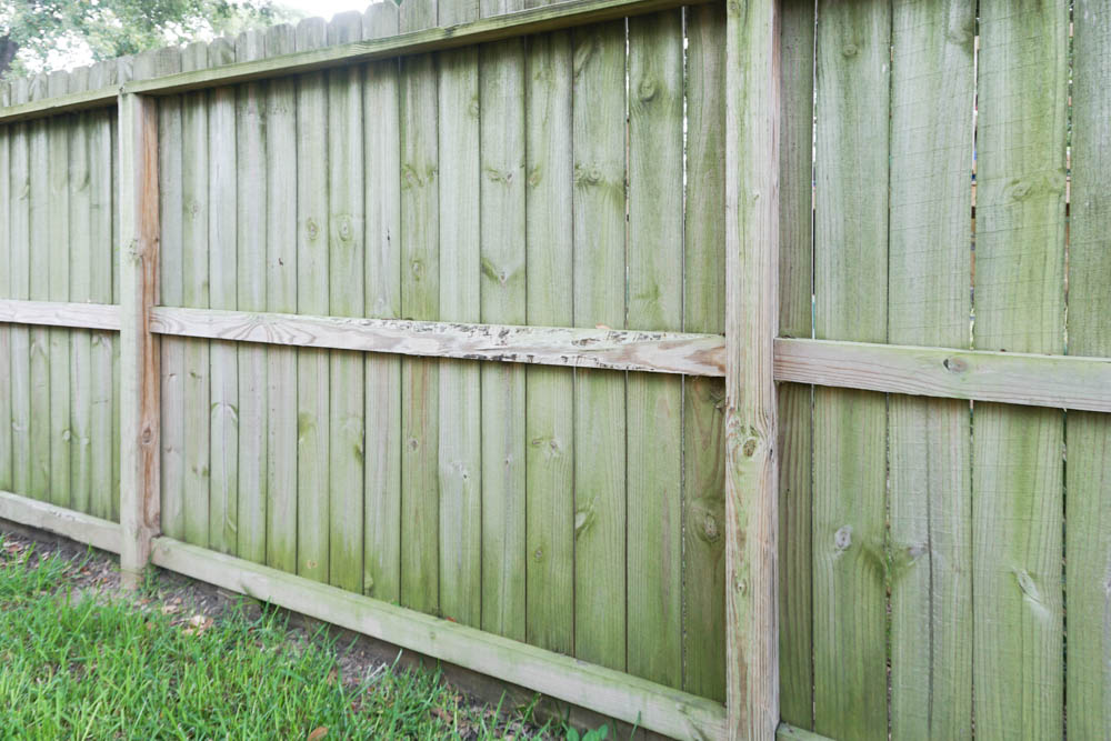 How to clean wood fence - the dirty before!