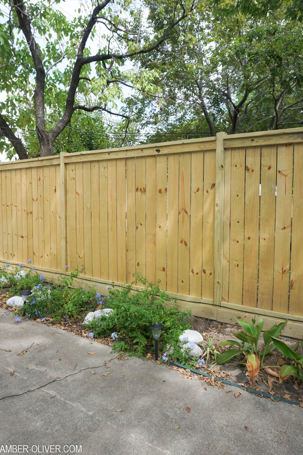 unstained wood DIY fence
