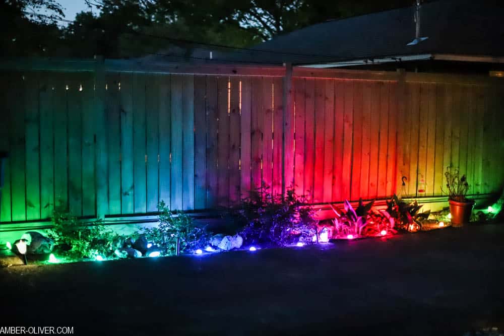 led color changing lights in the garden (enbrighten landscape lights)