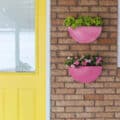 pink painted metal planters by a yellow door