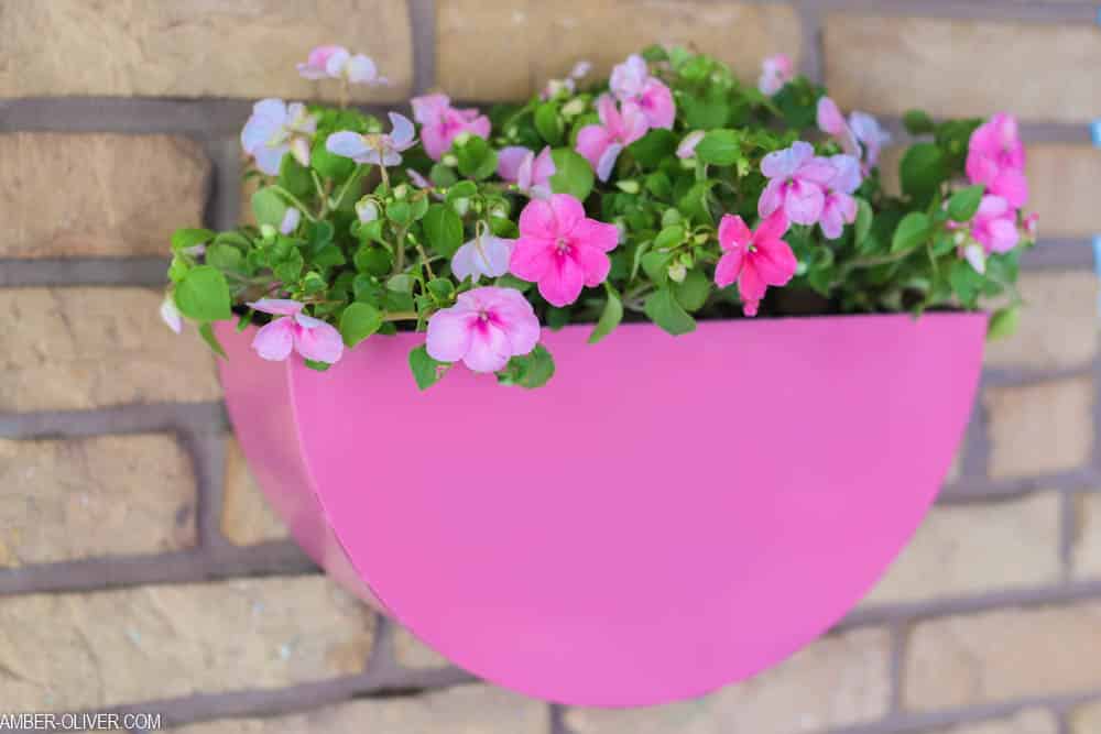 metal planter painted pink filled with pink flowers