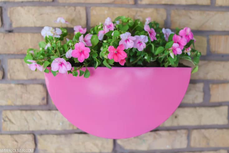 metal planter painted pink filled with flowers