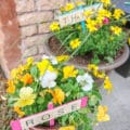 colorful DiY garden markers