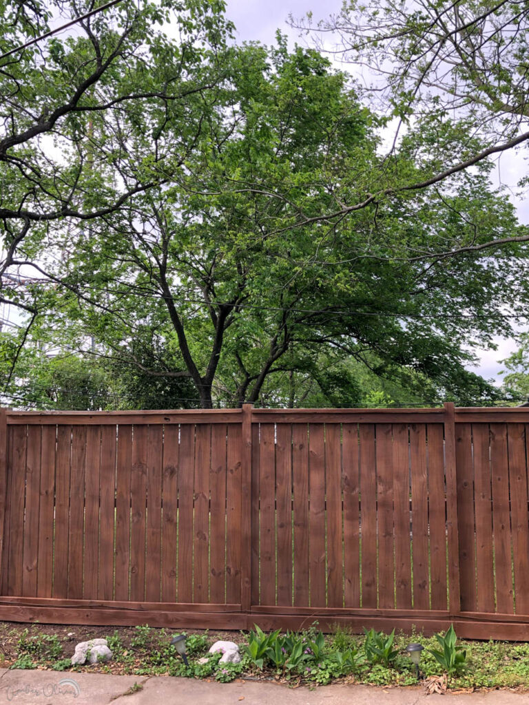 a newly stained wood fence