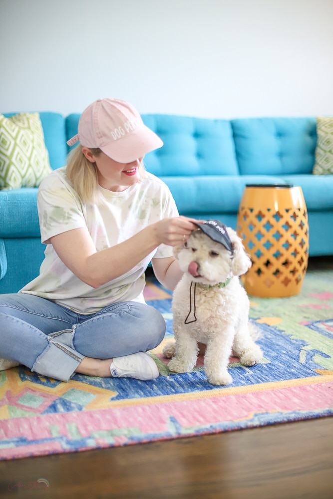 putting a DIY hat on TAils of Barkley made with Cricut Hat Press