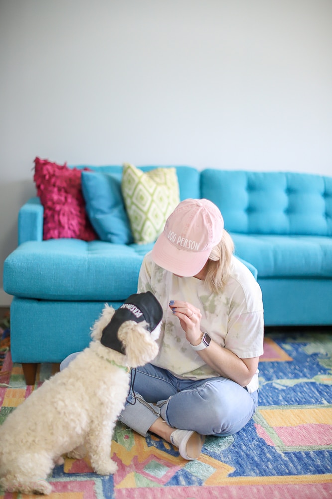 in living room with Tails of Barkley