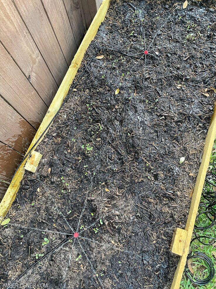 diy drip irrigation system for raised beds in garden
