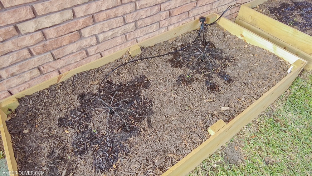 diy drip irrigation system in raised beds
