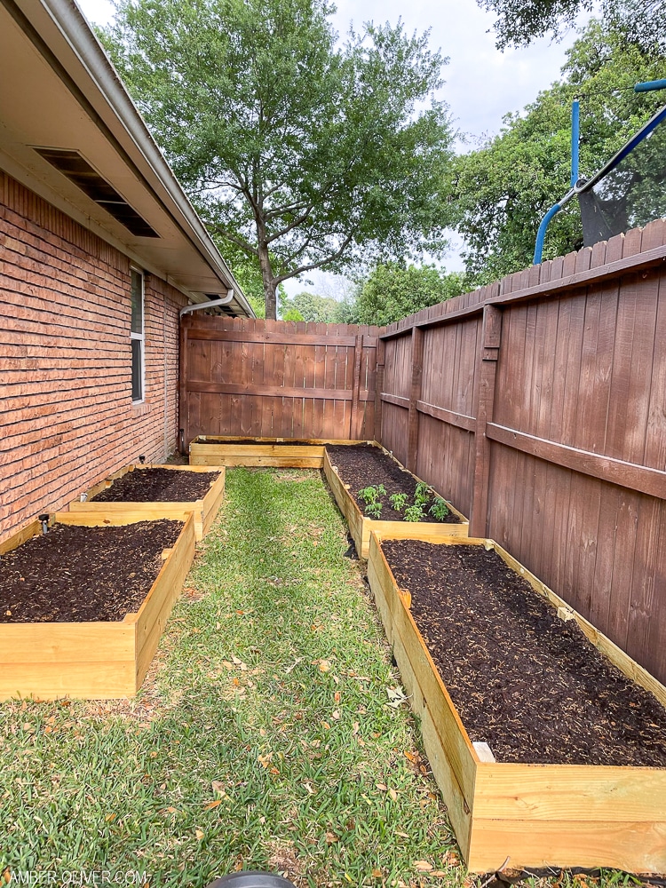 wood raised garden beds in the backyard