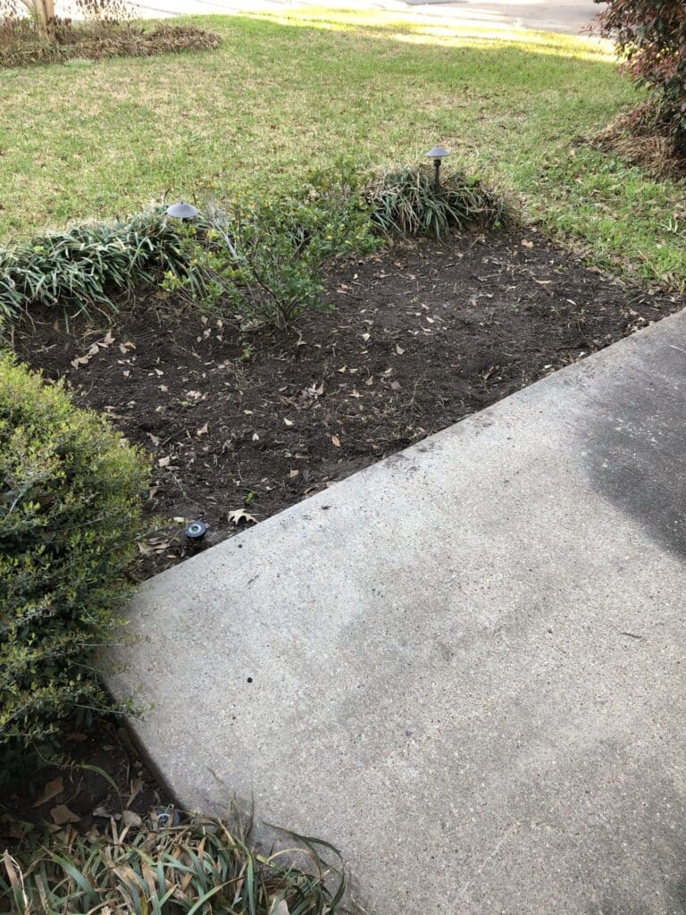 after cleaning flowerbed