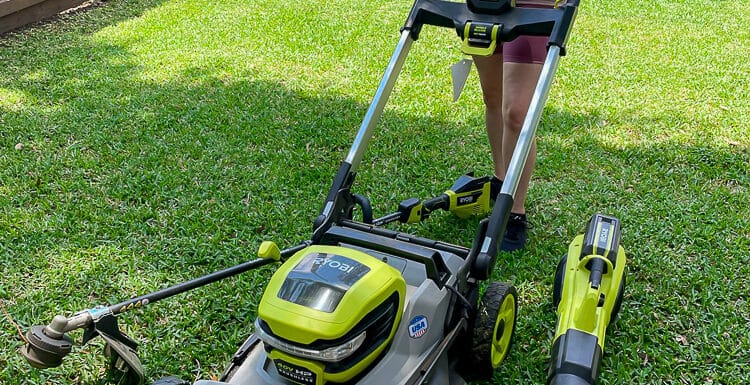 spring lawn care guide by Amber Oliver