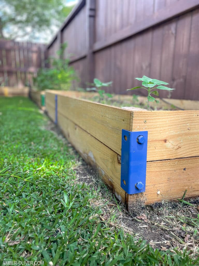 colorful hardware on diy raised garden beds that are made from fence pickets