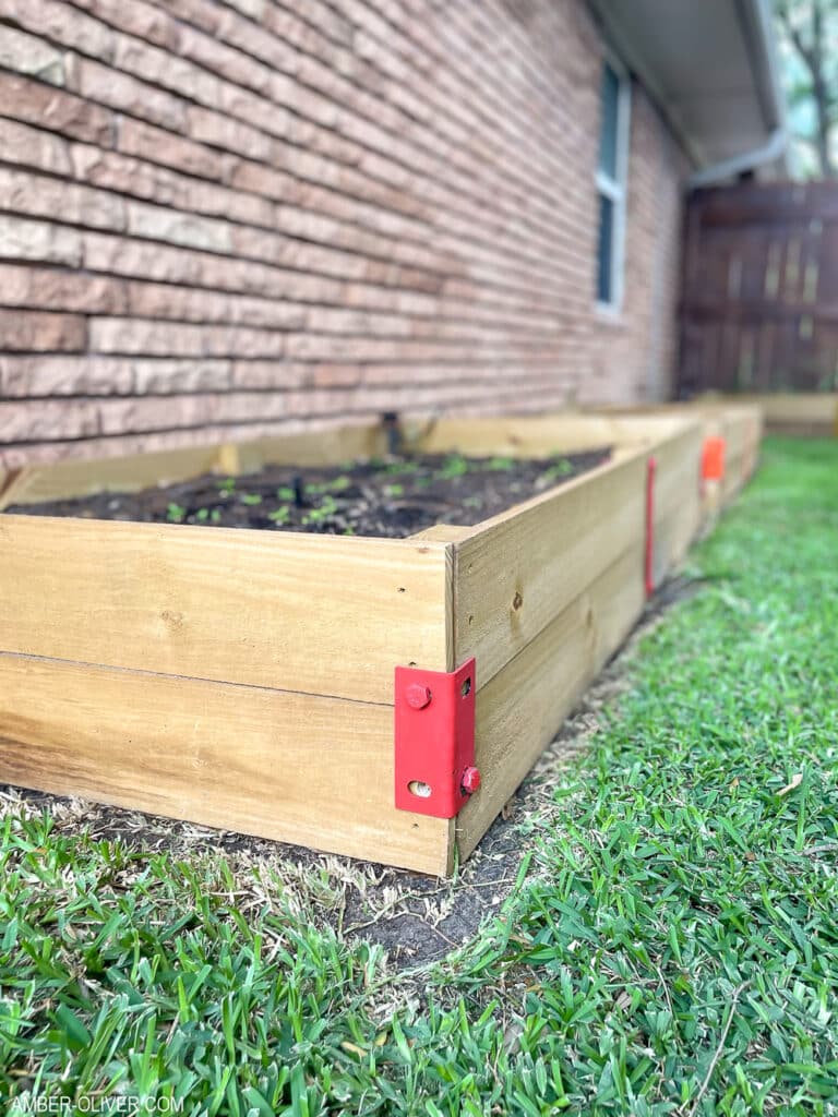 raised beds in the garden with colorful reinforcement hardware