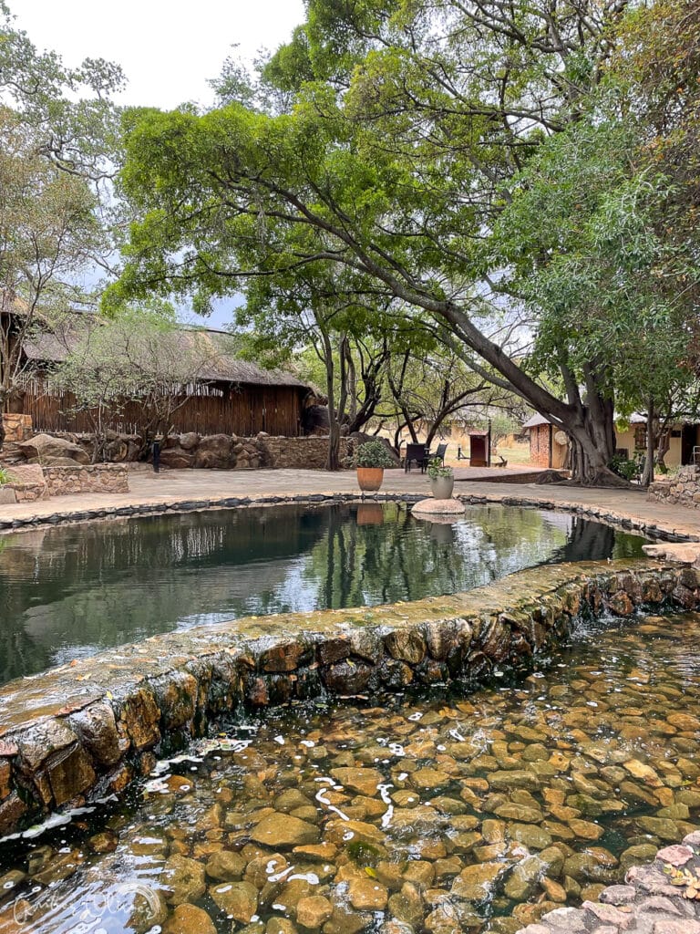 mabula game lodge in south africa - our home base for our south africa safari