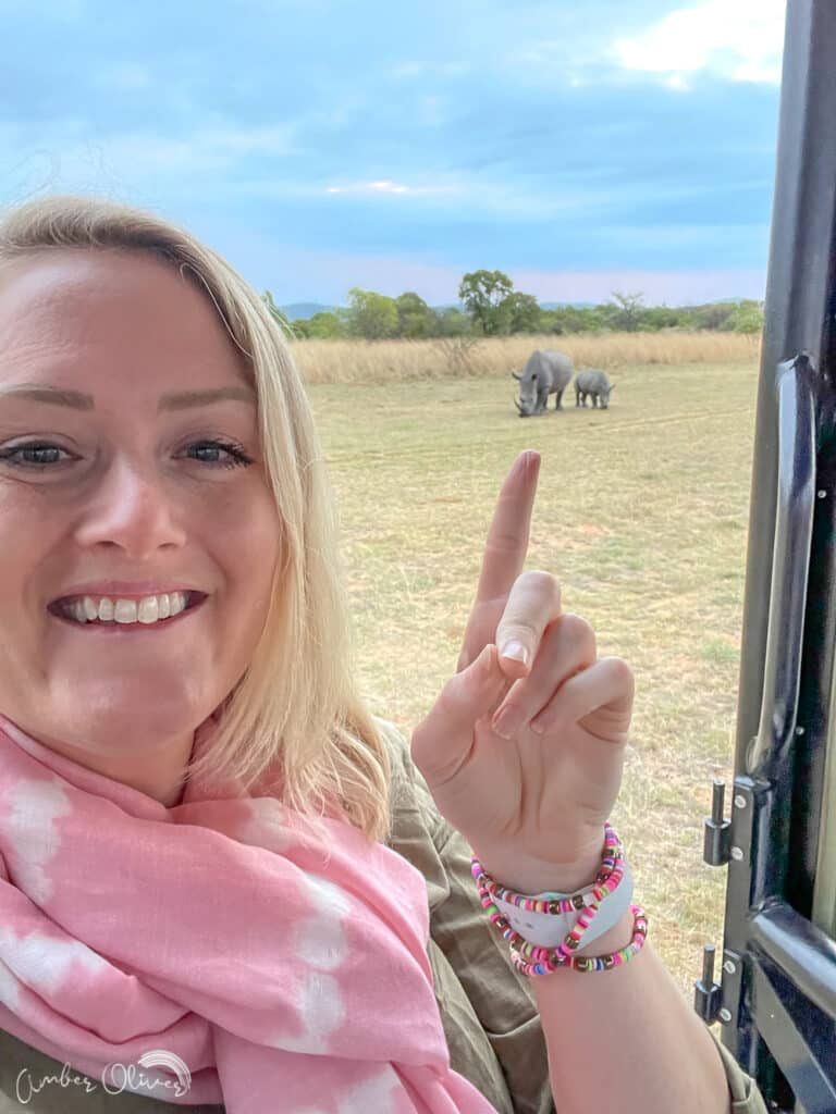 rhino in south africa on a safari drive