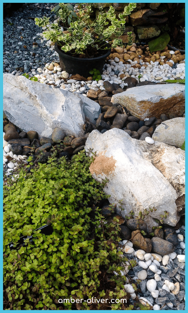 rock garden