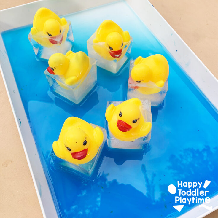 Image for Ice Rubber Ducks: A Fun Summer Sensory Activity