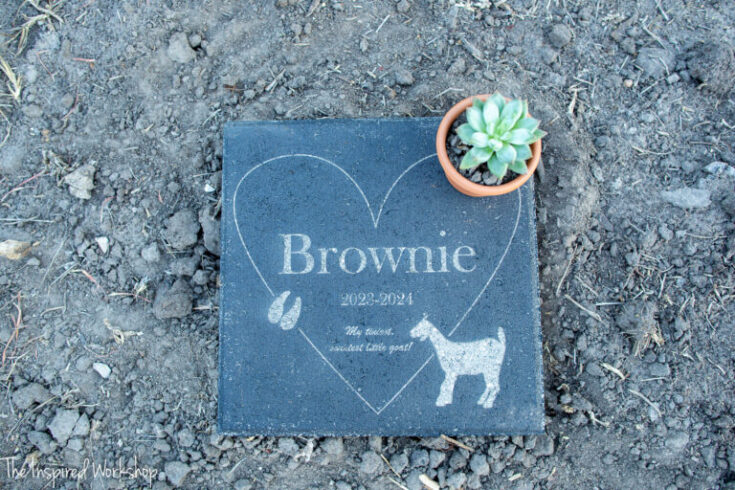 Image for Pet Memorial Stone with Laser Machine