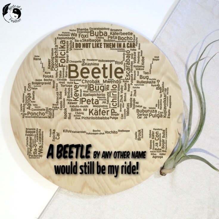 Image for Word Art Design with a Laser Engraver